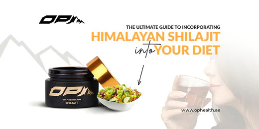 The Ultimate Guide to Incorporating Himalayan Shilajit into Your Diet