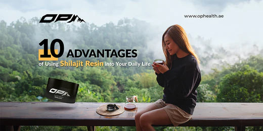 10 Advantages of Using Shilajit Resin in Your Daily Life